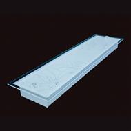 LED MODERN PHÒNG BẾP 18X1 BÓNG (IRON) 18W